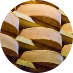 crosta