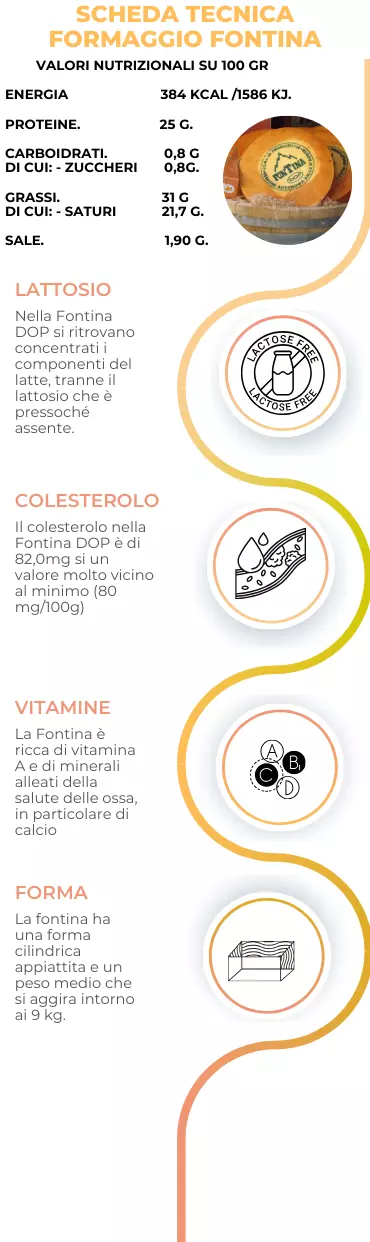 scheda tecnica formaggio Fontina