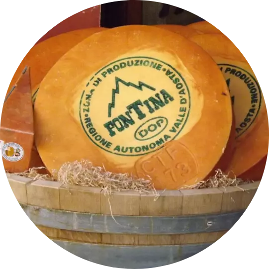 Fontina